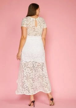 Plus Size Elegant Lace Dress -Curve Elegance Shop 2005447 002 3