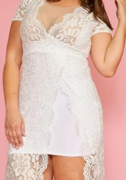 Plus Size Elegant Lace Dress -Curve Elegance Shop 2005447 002 4