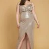 Plus Size Dazzling Wrap Maxi Evening Dress