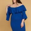 Plus Size Ruffle Off Shoulder Party Dress -Curve Elegance Shop 2005574 117 4