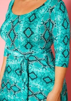 Plus Size Snake Print Fit & Flare Maxi Dress -Curve Elegance Shop 2011099 112 4