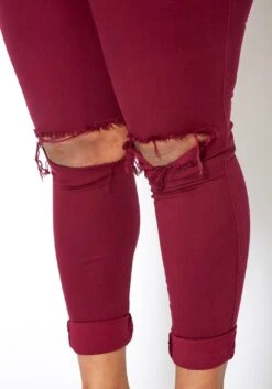 Vibrant Mid Rise Knee Distressed Plus Size Skinny Jean 11 Vibrant Mid Rise Knee Distressed Plus Size Skinny Jean -Curve Elegance Shop 2013673 111 3