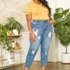 Asoph Plus Size Distressed Denim Cargo Mom Jeans -Curve Elegance Shop 2014689 003 0