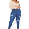 Asoph Plus Size Minimal Distressed Blue Wash Jeggings -Curve Elegance Shop 2016492 379 2