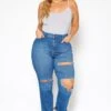 Vibrant Plus Size Distressed Vintage Denim Mom Jean -Curve Elegance Shop 2016804 938 3