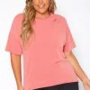 Plus Size Distressed Crew Neck Tee Shirt