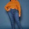 Vibrant Plus Size High Waist Skinny Denim Jean -Curve Elegance Shop 2019598 939 0