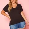 Plus Size V Neck Short Sleeve Top -Curve Elegance Shop 2019642 001 2