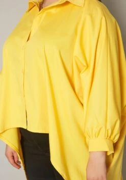 Plus Size Collar Neck High Low Shirt -Curve Elegance Shop 2019858 001 4