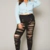 Plus Size Distressed Denim Jeans -Curve Elegance Shop 2019955 001 2