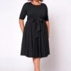 Plus Size Fit & Flare Mini Dress