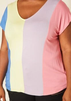 Plus Size Color Block V Neck Shirt -Curve Elegance Shop 2020694 001 4