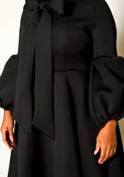 Plus Size Out Of The Ordinary Fit & Flare Dress -Curve Elegance Shop 2021156 004 6