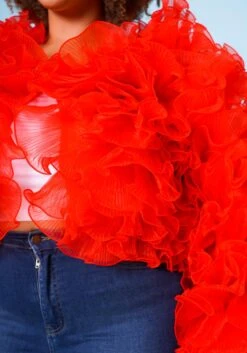 Plus Size Organza Tiered Ruffle Long Sleeve Jacket -Curve Elegance Shop 2021170 003 6