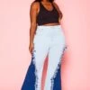 Plus Size Fringe Hem Color Block Flared Jeans -Curve Elegance Shop 2021265 001 0