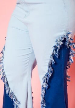 Plus Size Fringe Hem Color Block Flared Jeans -Curve Elegance Shop 2021265 001 5