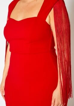 Plus Size Fringe Sleeve Midi Dress 15 Plus Size Fringe Sleeve Midi Dress -Curve Elegance Shop 2021346 002 5