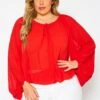 Plus Size Chiffon Dolman Sleeve Blouse
