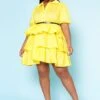 Plus Size Ruffle Tiered Flare Mini Dress -Curve Elegance Shop 2022518 002 0
