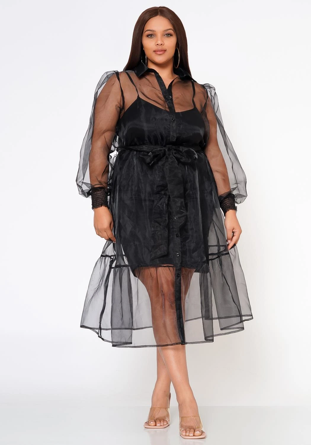 Plus Size Top Trend Sheer Button Front Fit & Flare Dress 4 Plus Size Top Trend Sheer Button Front Fit & Flare Dress - Image 2