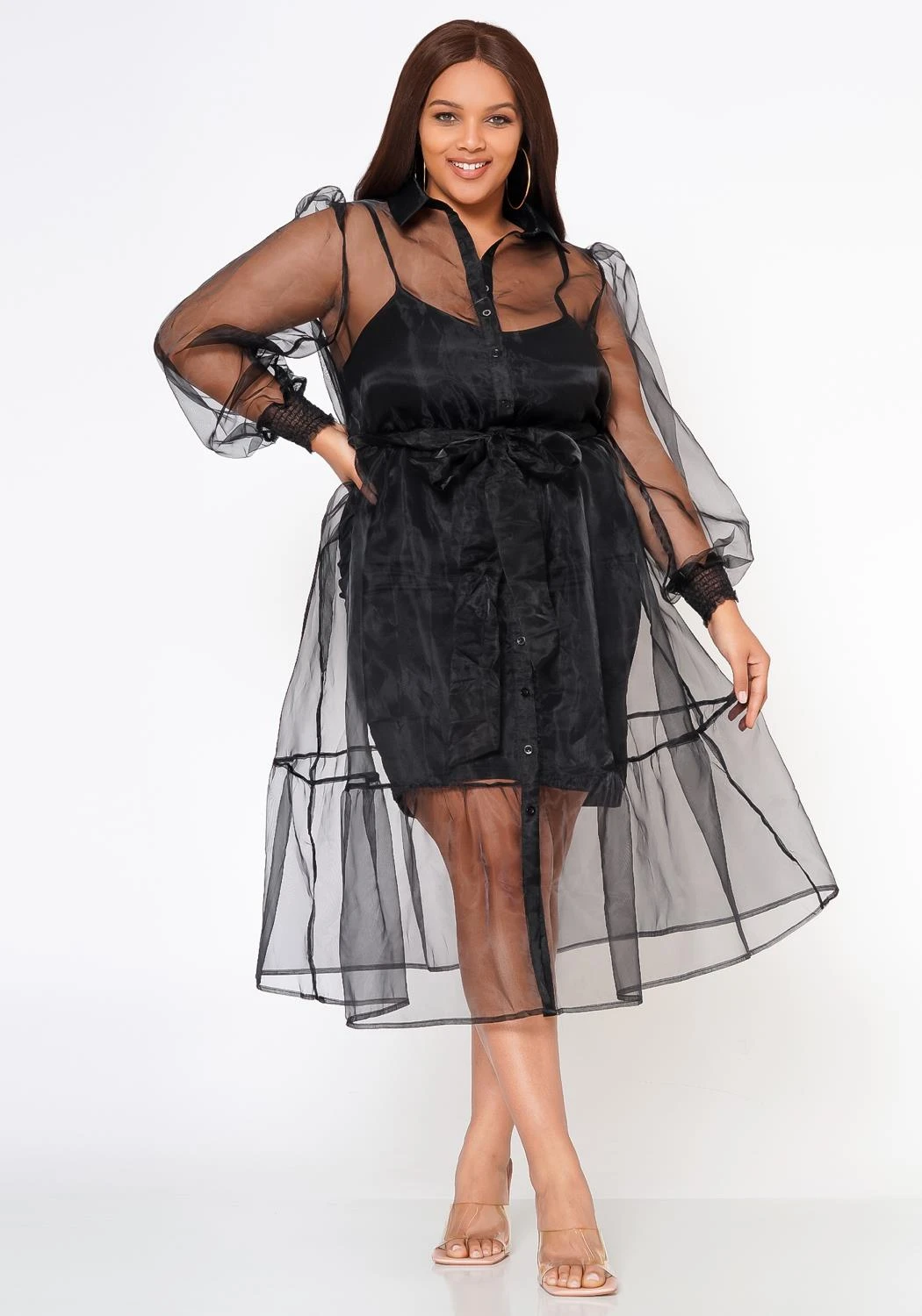 Plus Size Top Trend Sheer Button Front Fit & Flare Dress 3 Plus Size Top Trend Sheer Button Front Fit & Flare Dress