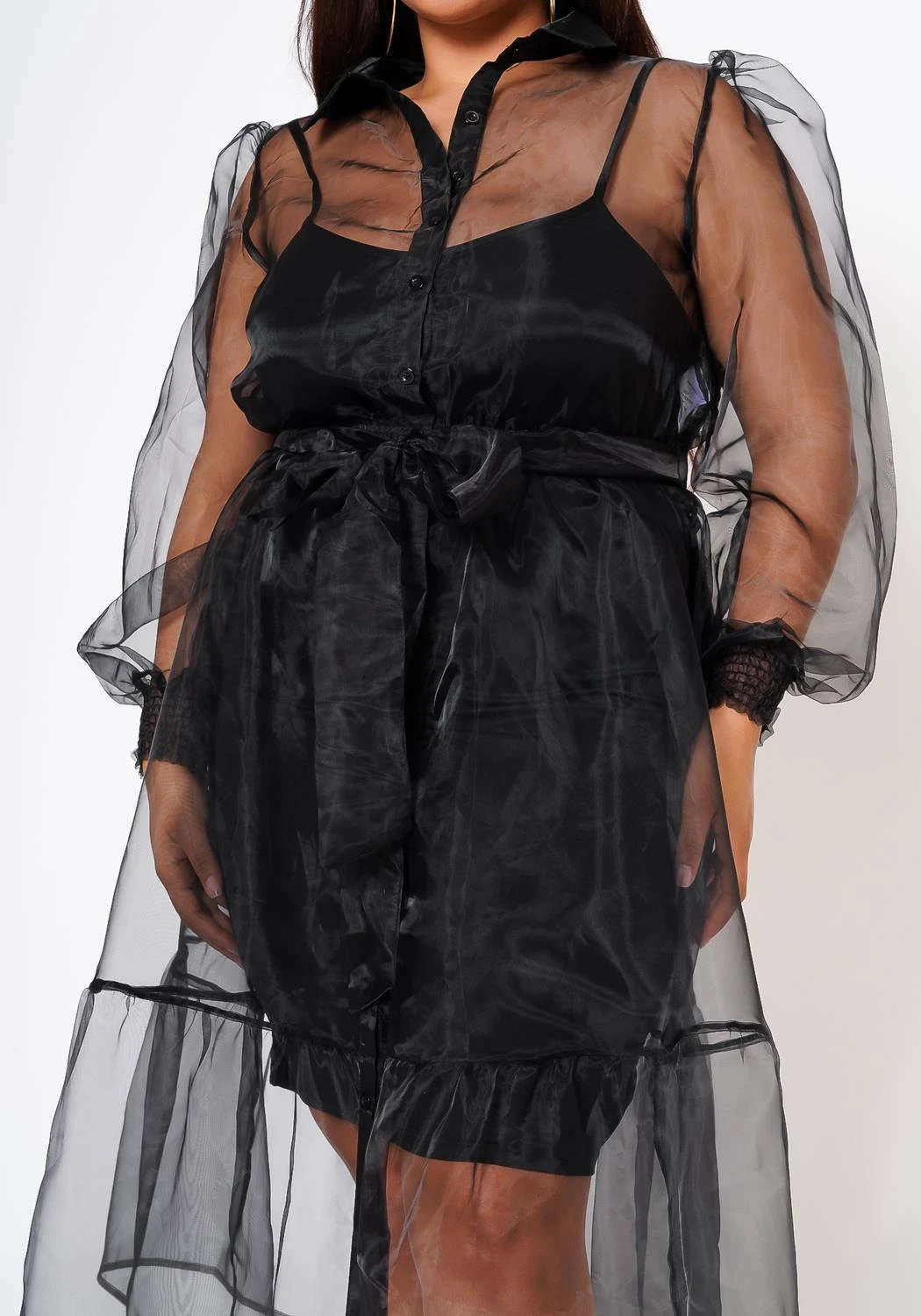 Plus Size Top Trend Sheer Button Front Fit & Flare Dress 8 Plus Size Top Trend Sheer Button Front Fit & Flare Dress - Image 6